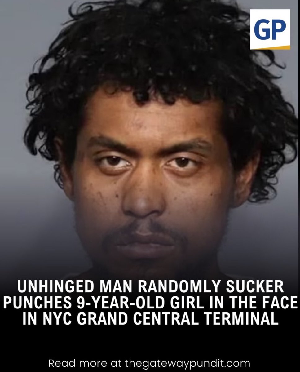The liberal judge released him 5 days later without bail even though he was just released 2 days prior to this incident for unprovoked attack on a 54 yr old woman. Liberal lunacy. Vote red & bring back law and order.