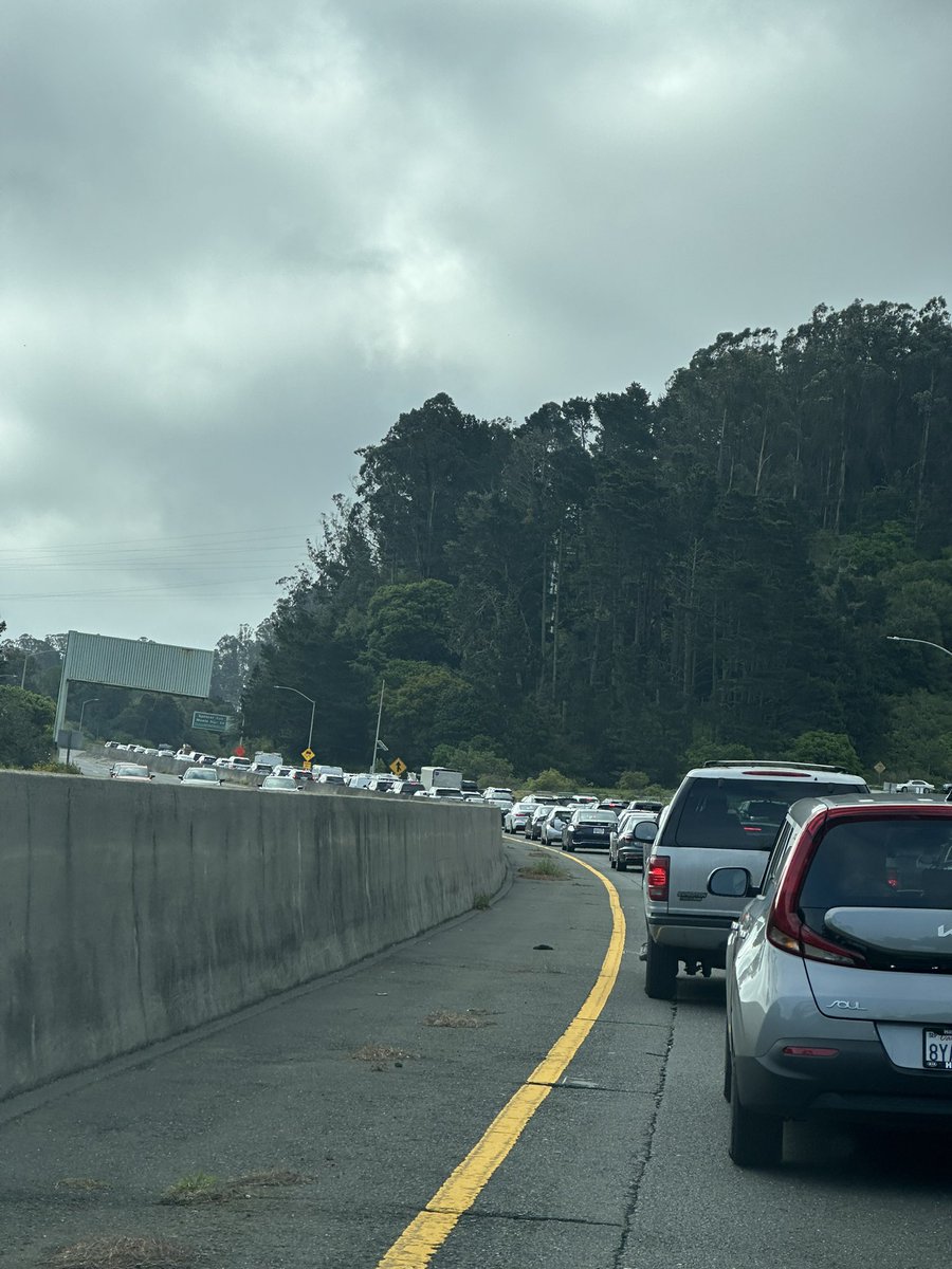 EmlySimmons's tweet photo. blurry protest making us late for work @GoldenGatebridge @sfo https://t.co/Fdn207K3ip