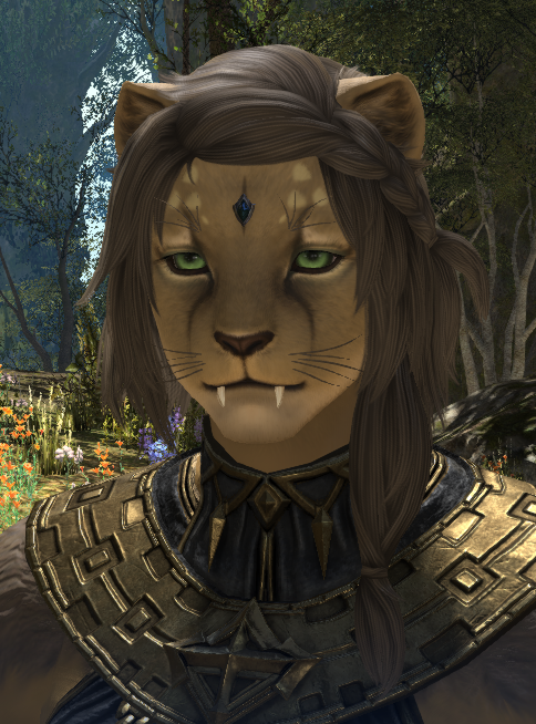 OtteAndCoFFXIV's tweet photo. Excuse me, but CATMOM. CATMOM. I'm pretty happy how close to my doodle I managed to make her, and can't wait to see her in caster gear. https://t.co/6RglUPdUSQ