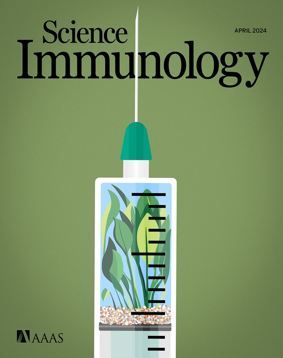 Science #Immunology’s April issue is now out!
 
The cover spotlights #CoVLP, a promising plant-based #COVID19 vaccine. CoVLP combined with the adjuvant AS03 could promote progressive maturation of #memory #BCell responses over time. scim.ag/6Bn