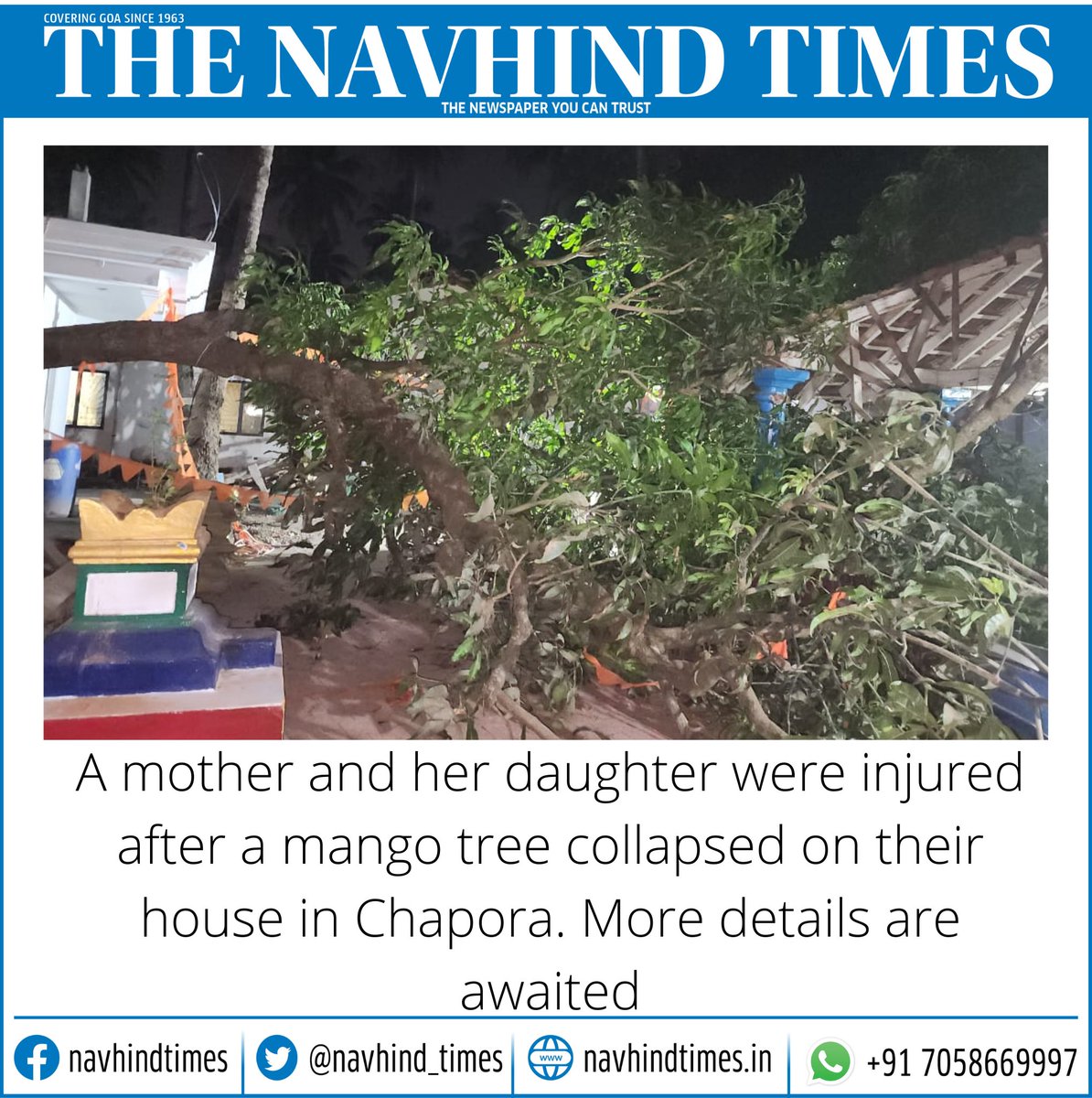 #GoaNews #mangotree #NavhindTimes