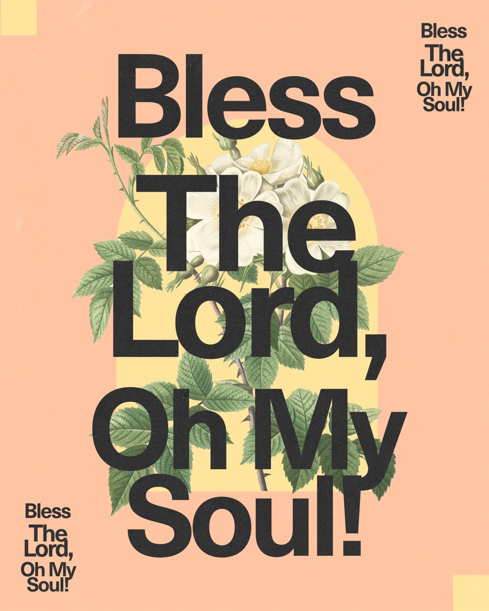 Sometimes you just have to speak to your soul and tell it to praise God! He's worthy of all of your praises. #praise #flower #worthy #RefugehouseofGod