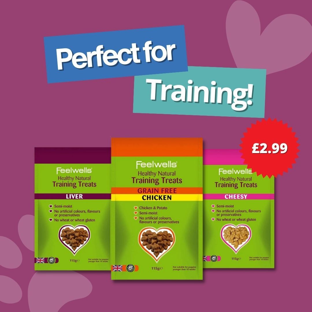 The perfect high-value treat 🐶 We understand the importance of effective #training, which is why we’ve crafted specialised #dogtraining treats. Available in Liver, Cheesy, or #Grain-Free options 💚 Shop today: buff.ly/42njBPv