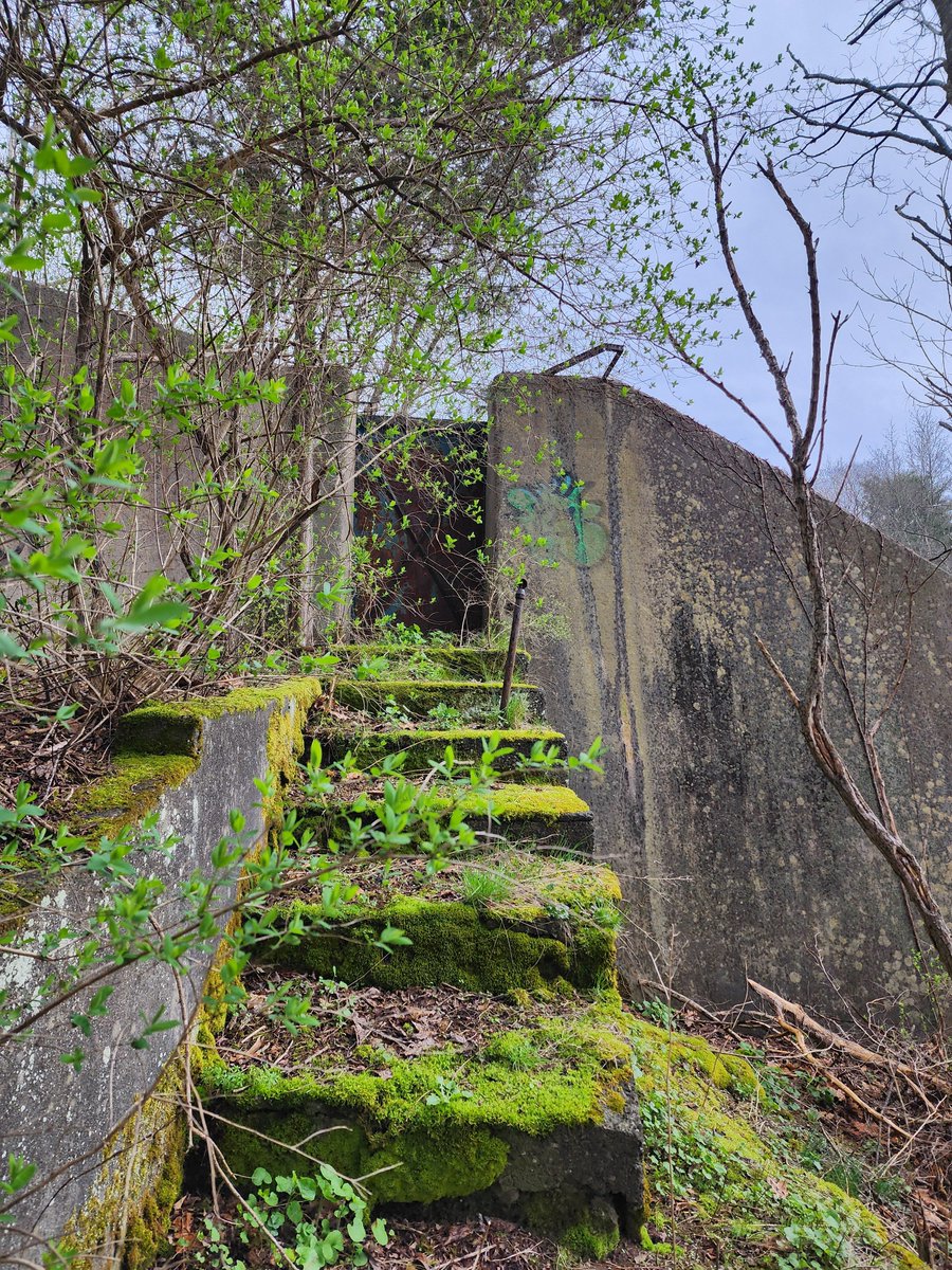 Anton - Rust Belt USA Urbex (@antonbeletskii) on Twitter photo 2024-04-15 16:27:01