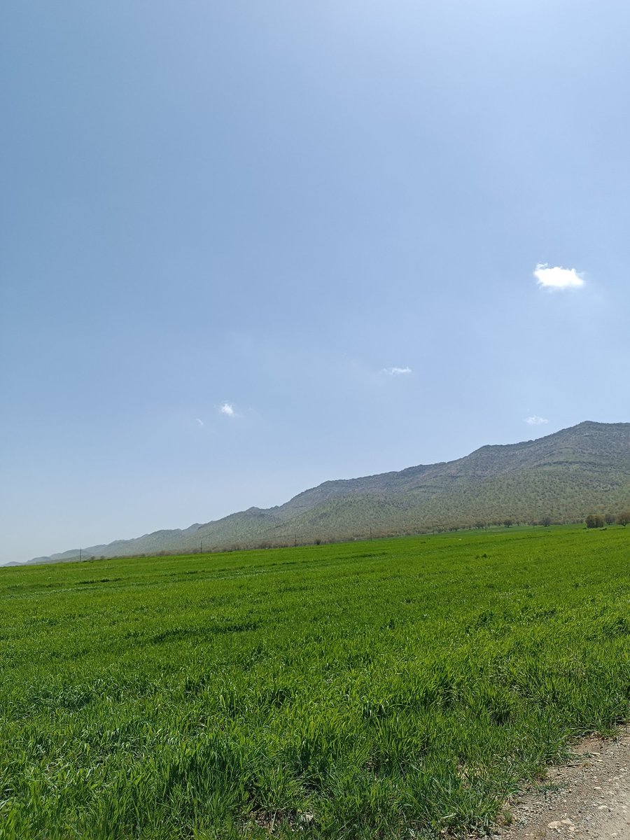 اینم از بهار امسال
#لرستان
#کوهدشت
#بلوران
#iran