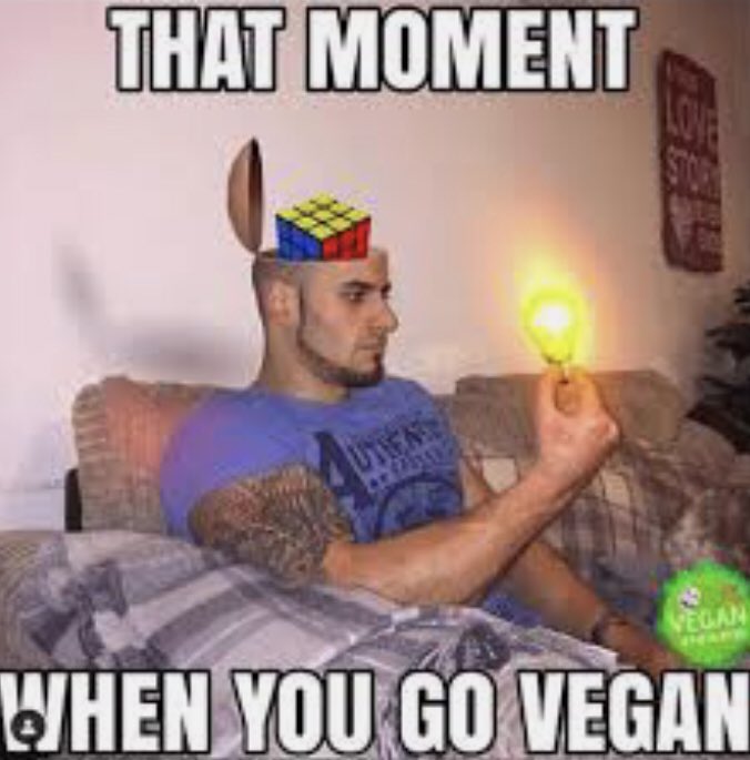 What was the aha-moment that made *you go vegan?