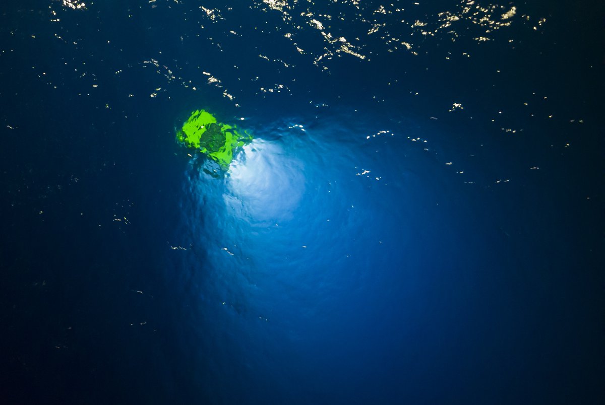 Schmidt Ocean (@schmidtocean) on Twitter photo #JobAlert ~ <a href="/SchmidtOcean/">Schmidt Ocean</a> Institute is seeking a ROV Senior Pilot Technician. More information: schmidtocean.org/job-post/rov-s… #JobAlert ~ <a href="/SchmidtOcean/">Schmidt Ocean</a> Institute is seeking a ROV Senior Pilot Technician. More information: schmidtocean.org/job-post/rov-s…