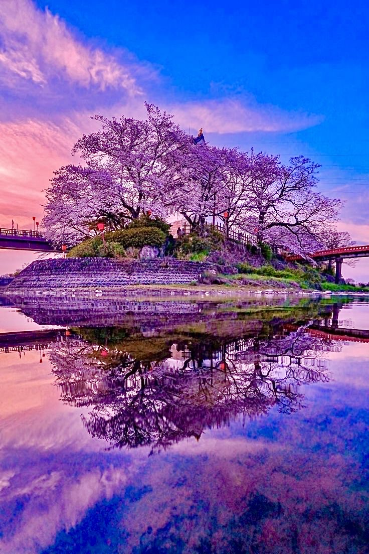 『墨俣一夜城』岐阜県 日本🇯🇵🗾🏞🏯🌉🌸🌸🌸🌿💧💦🩵