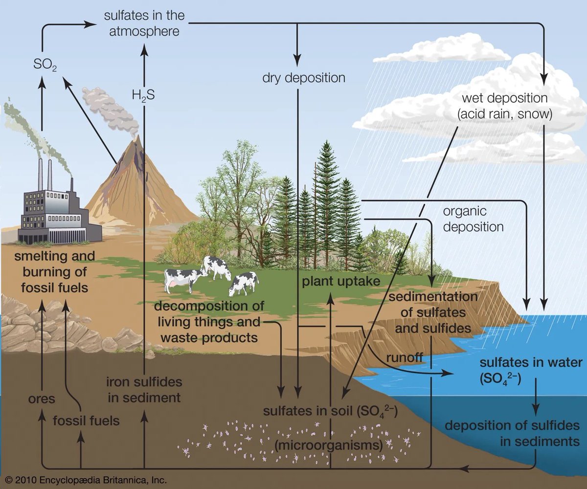 Biogeochemical cycle
🧵🧵
Sulfur cycle
Oxygen cycle
Carbon cycle
Nitrogen cycle
Hydrologic cycle
Phosphorus cycle

1. Sulfur cycle