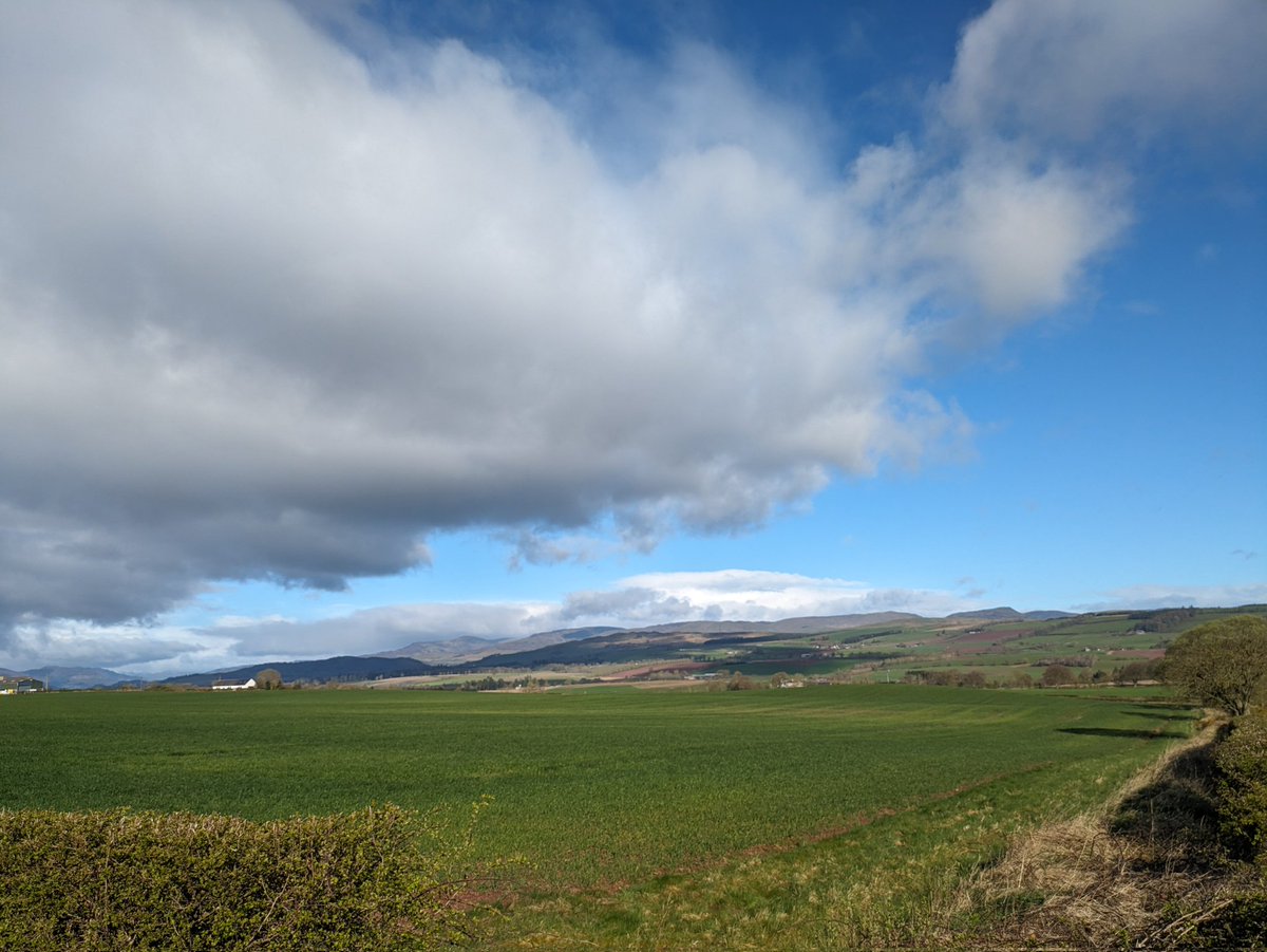 Stayed at my grandparents for my last night in Scotland yesterday. Saw the family shrine/Emily wall (according to the cousins), and remembered how beautiful Perthshire is 😍 do all Grandparents have one of these?!