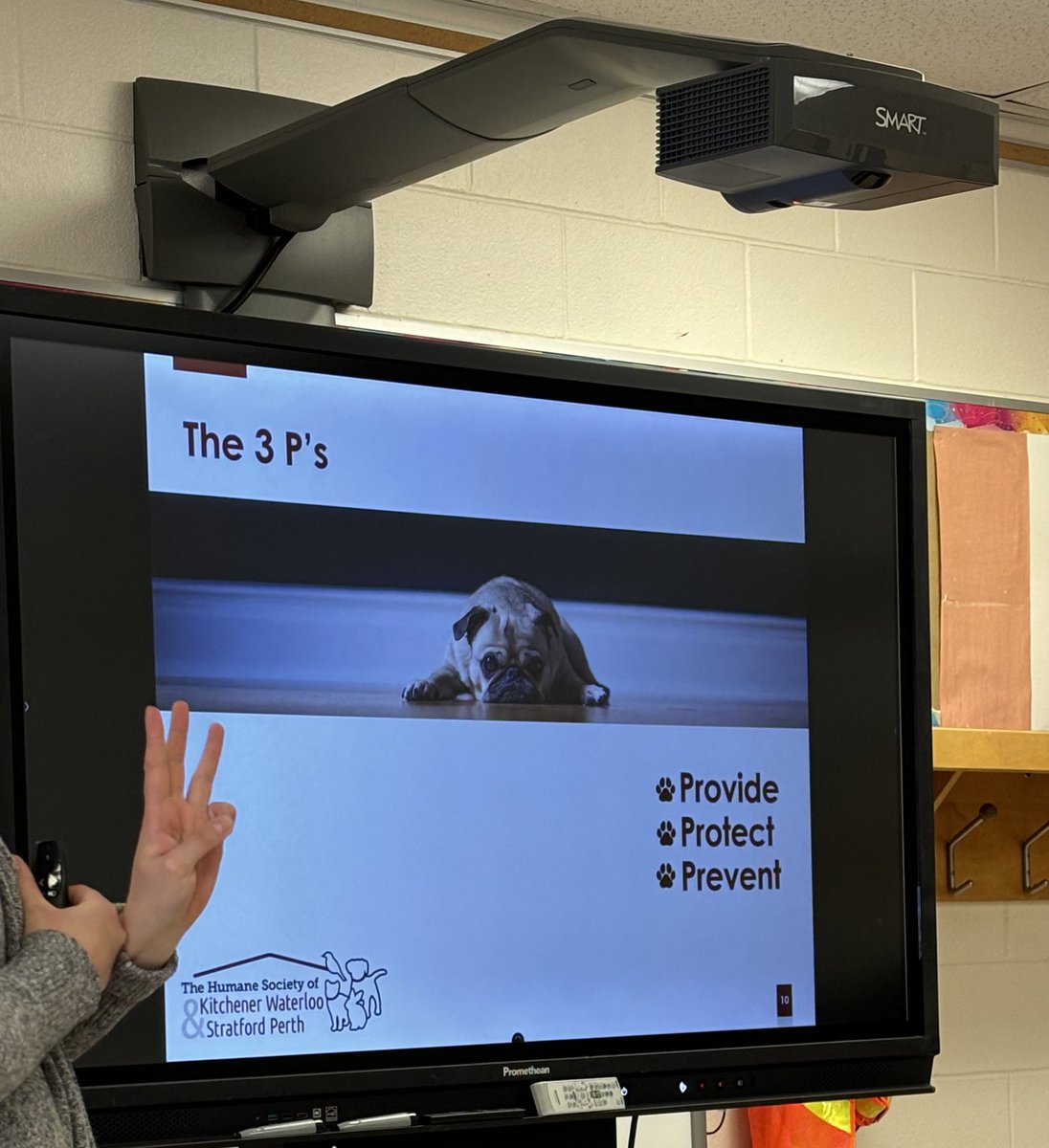 SK1Elma's tweet photo. Meet Mae from the Humane Society who came to visit us to teach us about pet safety and care. Remember to provide, protect and prevent. https://t.co/8vUAyrrf5H