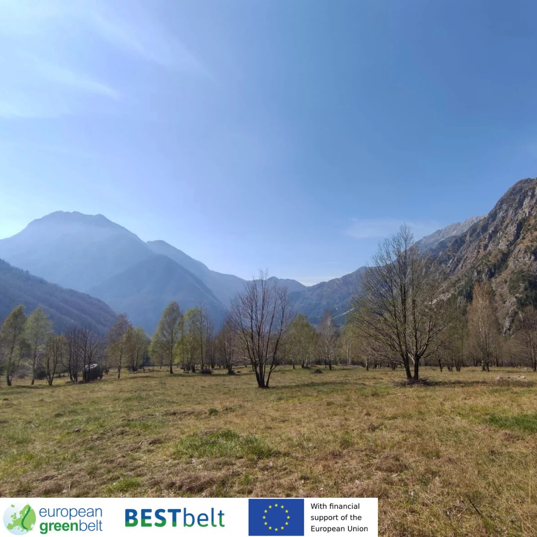 ReteItalia_EGB's tweet photo. Amazing news from Plan di Tapou ponds, freshly restored thanks to the European #BESTbeltProject! Our biologists found the ponds thriving with amphibians and eggs and we can't be happier!Meanwhile Val di Musi meadows are still waiting for Spring to sprung!
#europeangreenbelt #fvg https://t.co/yg3HgXLfIv