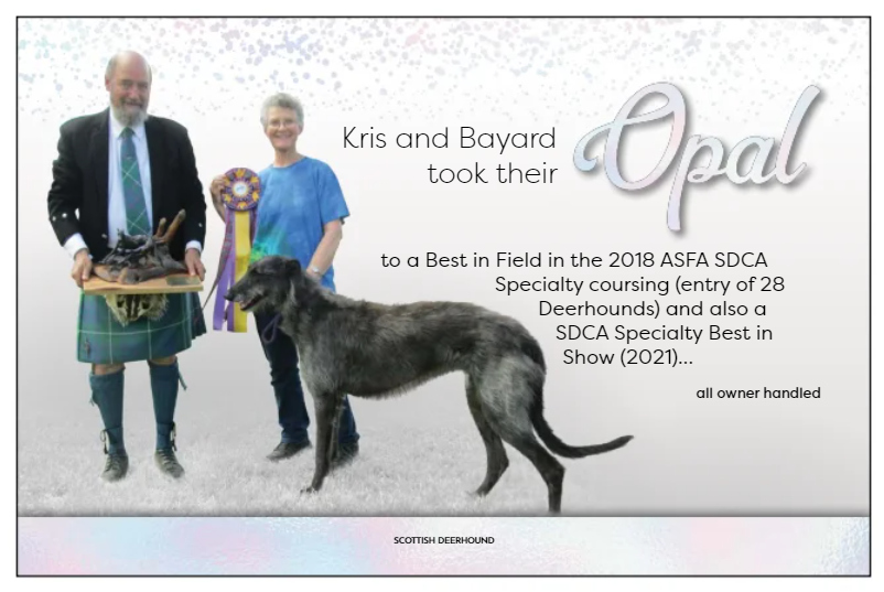 Say Hello to Opal ✨

Owner/Handled

digital.showsightmagazine.com/view/437705027…
showsightmagazine.com/understanding-…

#scottishdeerhound #purebred #dogshow #dogshow2024 #bestinshow #bestinshowsight #showsightmag #showsightmagazine