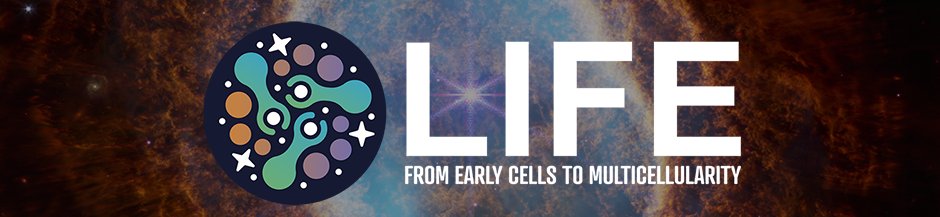 LIFE: From Early Cells to Multicellularity tweet media