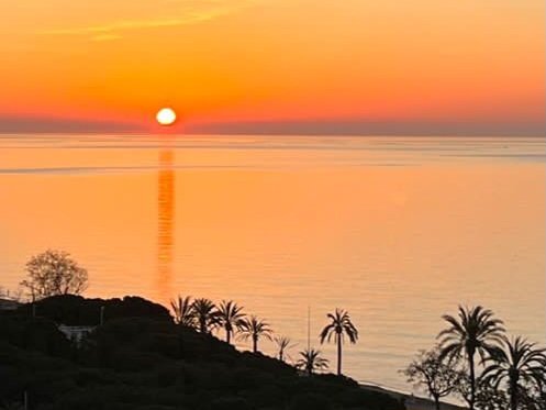 ProjectSubbuteo's tweet photo. No Subbuteo finds ~ but a cracking sunrise ☀️
#Barcelona 
#ShowMeTheSubbuteo https://t.co/DyjBQHMQcb