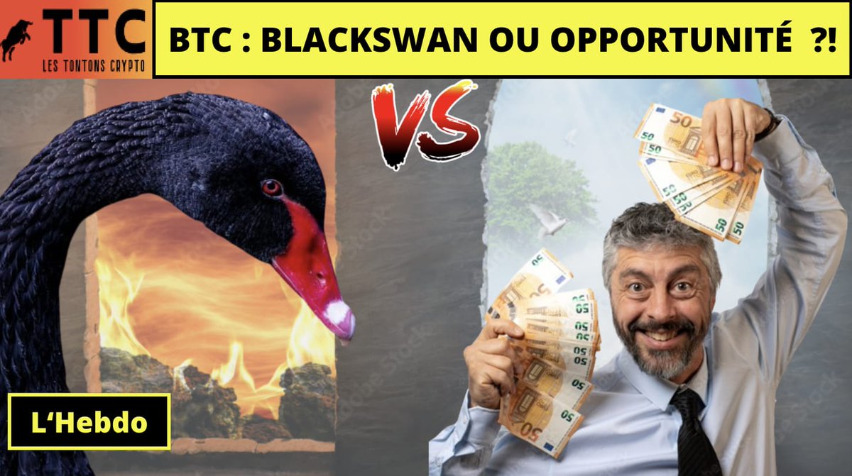 Tontons Crypto tweet media
