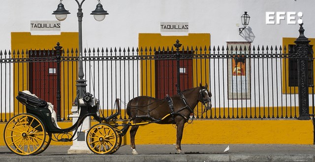 EFEnoticias's tweet photo. Muere una yegua durante el paseo de caballos de la Feria de Abril de Sevilla tras sufrir un infarto mientras realizaba el recorrido en un día con una temperatura de unos 30 grados.

https://t.co/Fs48UryfGh https://t.co/3Hw54a5Xba