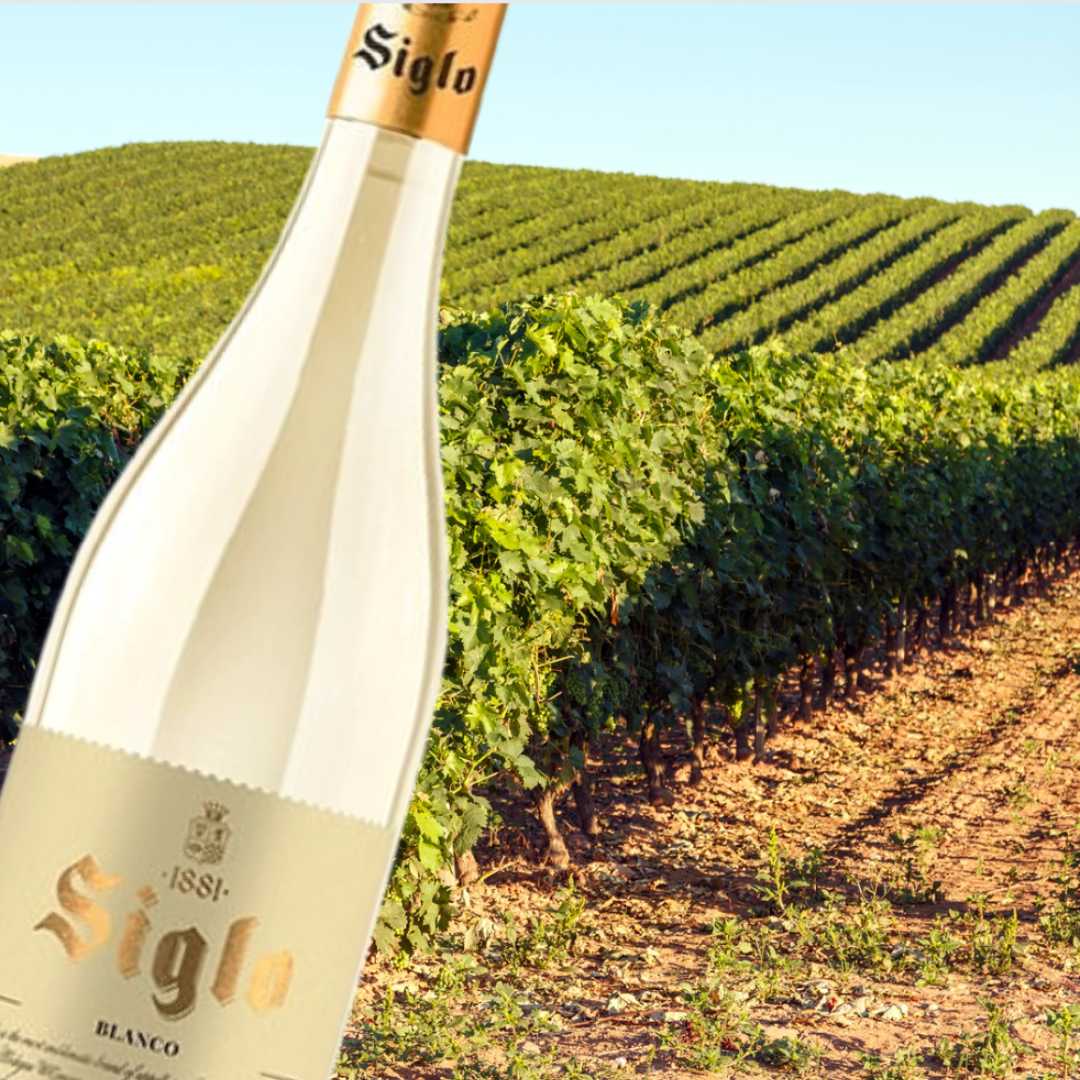 Today has been four seasons in one day, but Summer is coming. This white Rioja from Siglo is one to try! Just £9.99 in-store or online here: bit.ly/3xtLKZJ #Rioja #Siglo #WhiteWine #SpanishWine #FineWinesDirectUK #Cardiff #WineShop