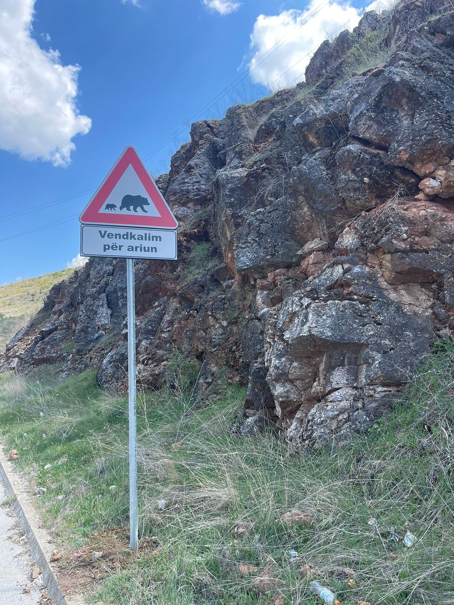 PPNEA's tweet photo. Last weekend, PPNEA, Albanian Road Authority &amp; Korçë Regional Administration installed 6 road signs to prevent accidents &amp; protect brown bears and roe deer. Let's drive responsibly! 🐻🦌 #WildlifeSafetyPriority #PrespaNet https://t.co/xYylUxaMPw