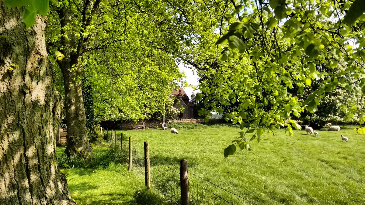 TheCCT's tweet photo. All Saints in Billesley #Warwickshire, is rumoured to have been the wedding venue of #Shakespeare and was vested with CCT on this day in 1976. Why not #stepintospring and follow in the bard’s footsteps? Guided trail: https://t.co/WXKyYHocNE #WalkThisMay https://t.co/PPqHKh3jl8
