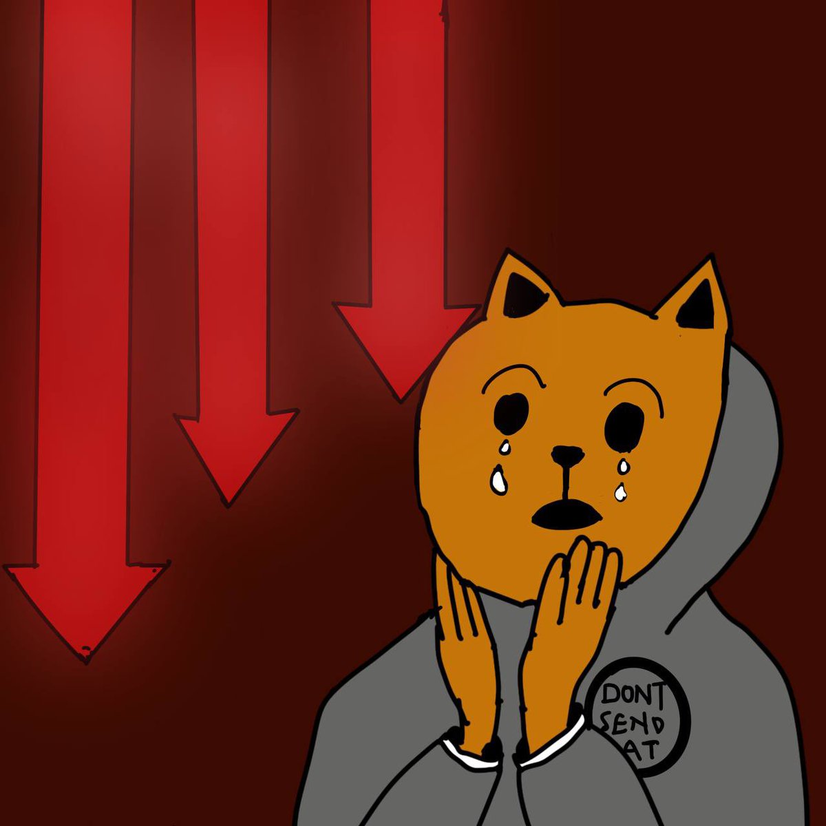 don’t wonder why the cat isn’t sending