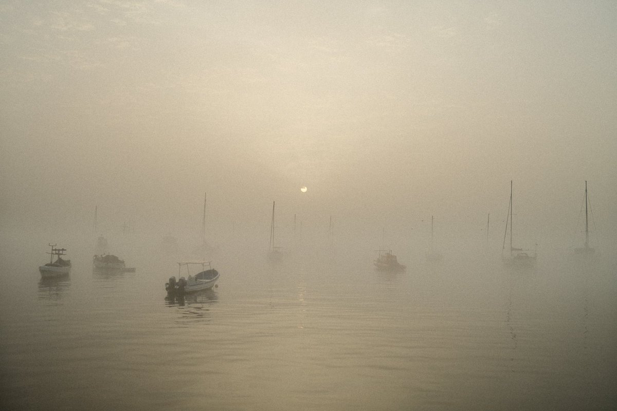talaniang_'s tweet photo. Matin Brumeux 
#Weather #photography #morning https://t.co/WTS2157aVi