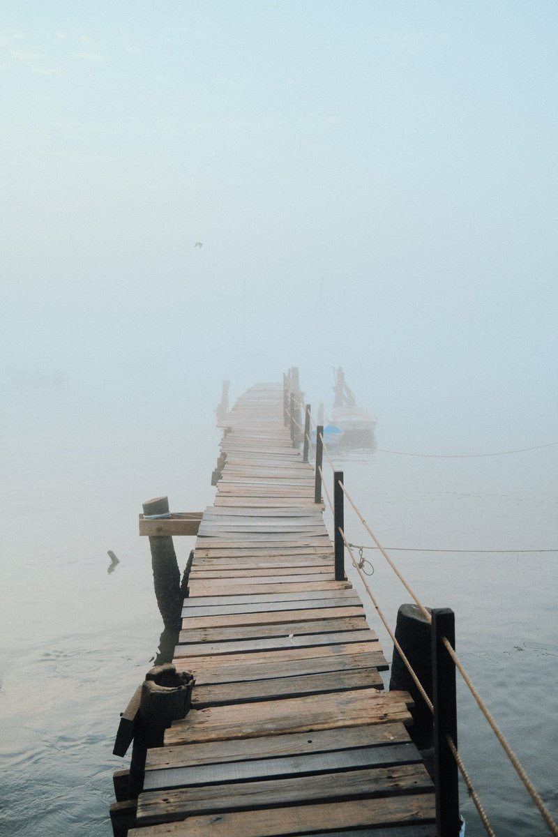 talaniang_'s tweet photo. Matin Brumeux 
#Weather #photography #morning https://t.co/WTS2157aVi