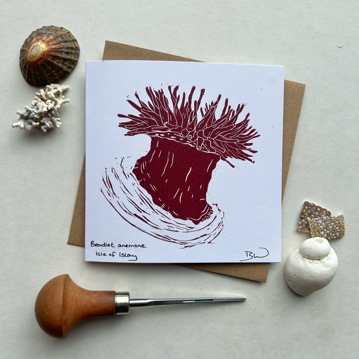 My rockpooling obsession is translating into my work! 

New handprinted linocut greeting cards - Beadlet anemone - #IsleofIslay 

#beadletanemone #rockpoolinguk #britishmarinelife #rockpooling #handprinted #handmadeinscotland