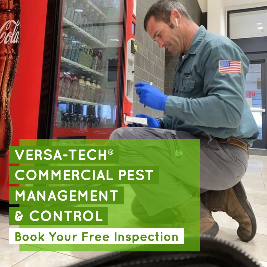 VersaTechPM's tweet photo. Are you looking for the very best commercial #pestcontrol services in San Dimas or Los Angeles County? Versa-Tech® is here for you with guaranteed, personalized #pestmanagement services you can count on. Get your free inspection & quote. #Exterminators #pestcontrolservice https://t.co/PPrSyqArfD