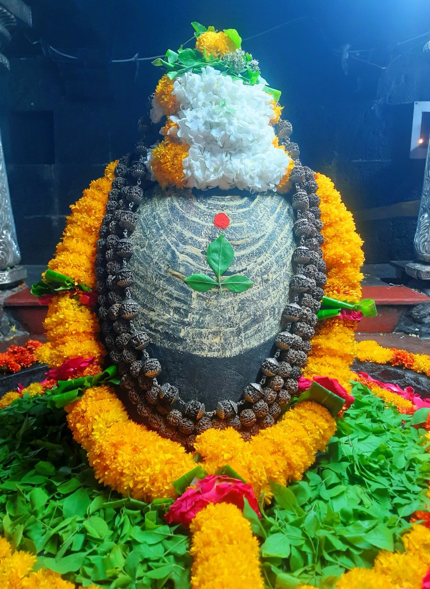 श्री औढ़ा नागनाथ नागेश्वर ज्योतिर्लिंग जी के संध्याकाल आरती श्रृंगार दिव्य 15.04.2024