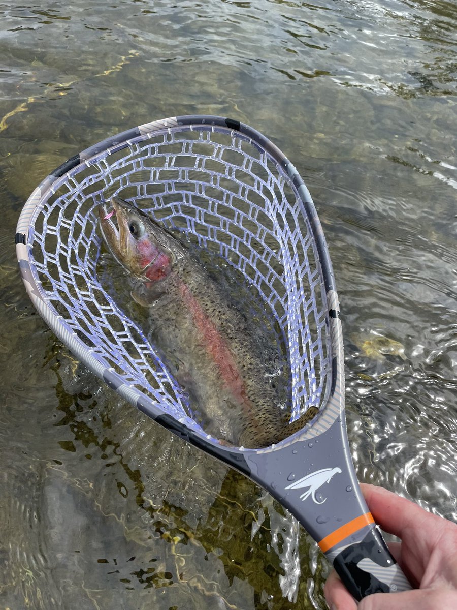 WetflyFish's tweet photo. Do you still consider it flyfishing when you use a San Juan worm pattern?  #wetflyfish https://t.co/KlrJLcIuoX