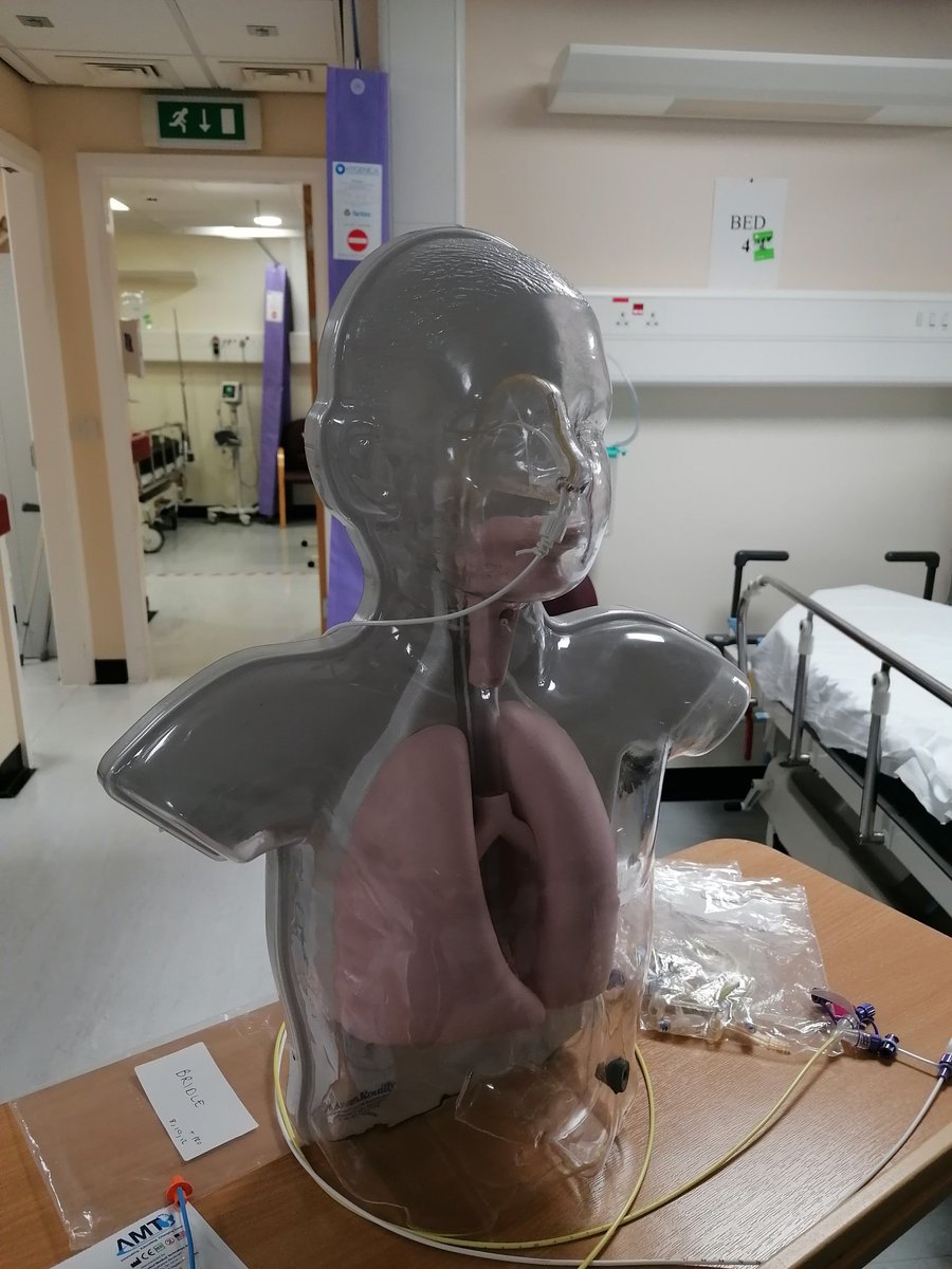 jessica_quayle's tweet photo. Today, I spent some time with our interventional radiology colleagues providing training on NG/NJs including safe bridle technique 🤗
Thank you @LancsIR_RPH team for being so engaging 😁
#training #education #nutritionmatters #AlwaysSafetyFirst
@NutritionNurses https://t.co/NRfQGFp4xb