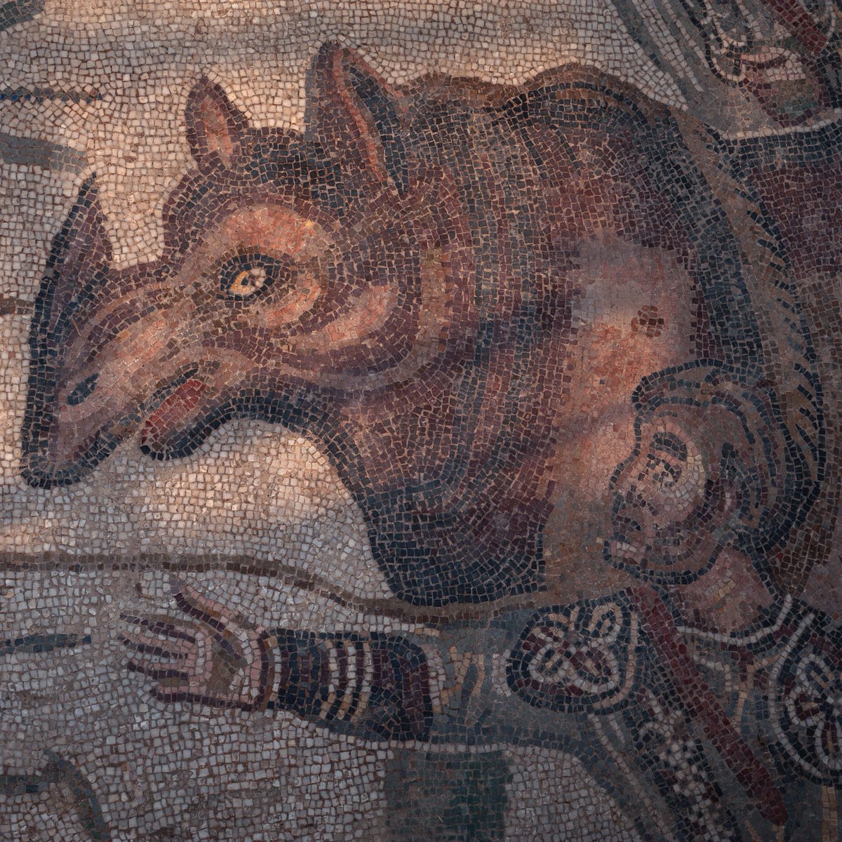 #MosaicMonday

#Rhinoceros with hunter in patterned costume. Detail of Late #Roman mosaic, probably created by African mosaicists, Villa Romana del Casale, Piazza Armerina, Sicily, Italy:

alamy.com/portfolio/tere…
