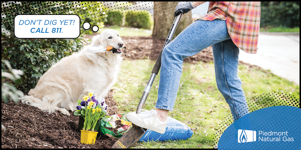 PiedmontNG's tweet image. #EarthDay is one week away! If your celebrations involve planting a tree or other greenery, #Call811 today to ensure your utilities will be marked in time. Learn more: spr.ly/6017wfFlW #SafeDiggingMonth 🌱