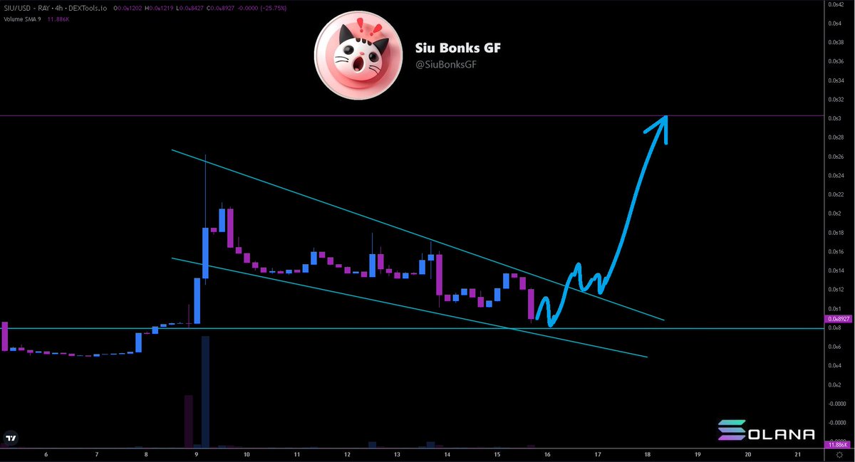 Hayess5178's tweet photo. $SIU is $BONK's girlfriend 🫂😻. @SiuBonksGF Had a community takeover 🐂🔥. The chart has been consolidating in a falling wedge the last week on #Solana👀. I got a bag close to support ~800k market cap 💰😏.

Check it out. Join the socials and community 😎
X https://t.co/z3YvaHKCFm
TG https://t.co/fOTBSk36yj
Site https://t.co/myJ4y0PzlV
CA Bctsxd5a6jPrF1QwhXsKCPhEXZMWDs92Azr9ypH4VP1W