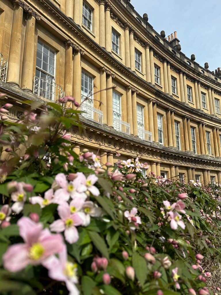 royalcrescent's tweet photo. The beautiful Clematis at The Circus is in full flower 🌸 Wander down the charming Georgian streets and embrace the signs of Springtime in the city

#bath #bathhotel #theroyalcrescent #luxuryhotel https://t.co/MCZxBBfOCY