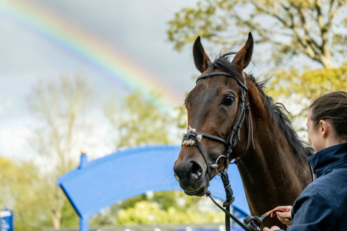 Wonder whether Phoenix Passion found the pot of gold at the end of the rainbow! 🌈