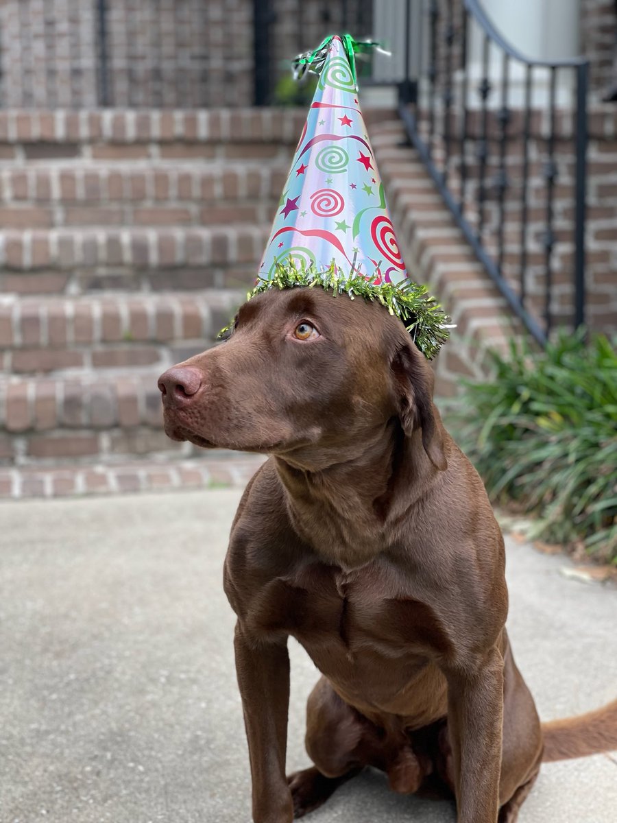 Happy Birthday to Judge! He turned 3 yesterday