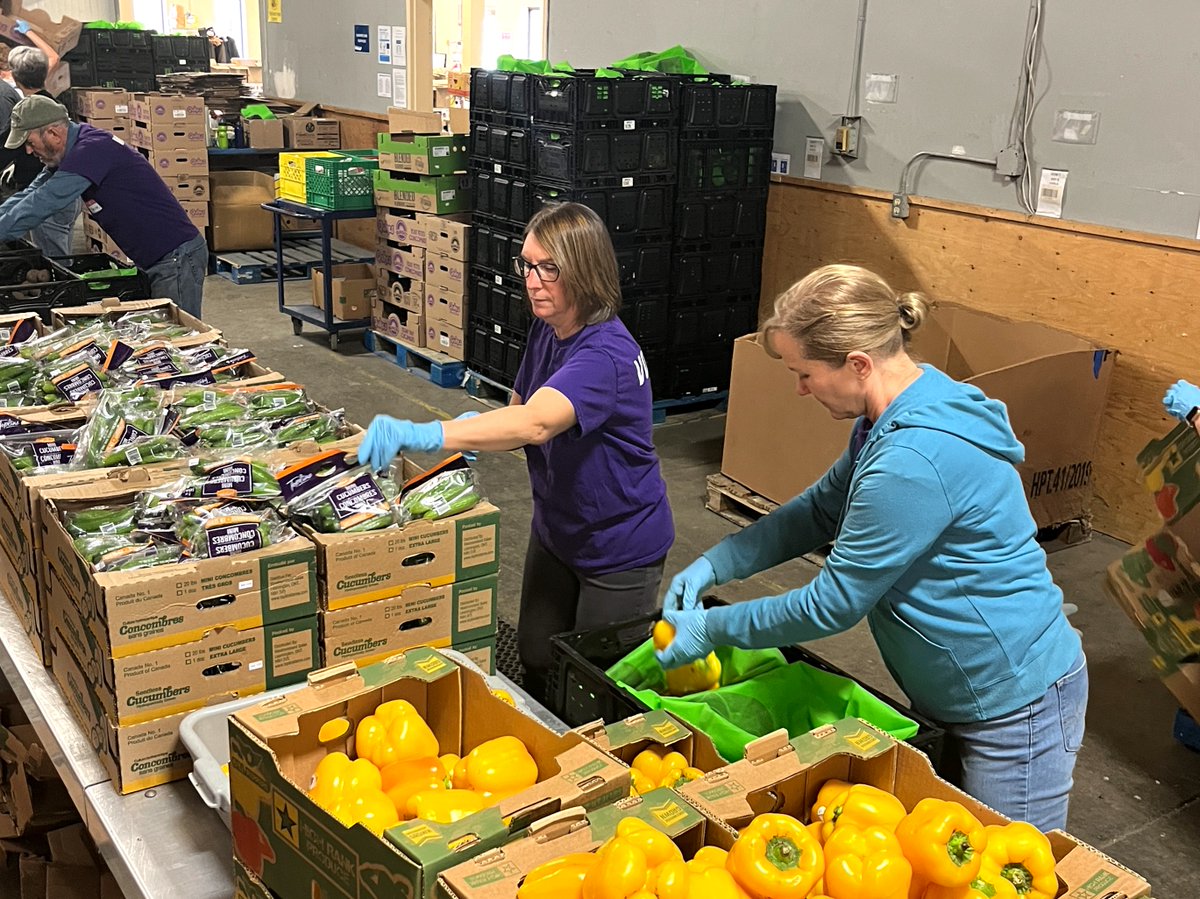 #VolunteerFact: Last year, our volunteers packed 62,070 fresh and 5,153 non-perishable food hampers to be distributed to our Network. We couldn't do what we do without the support of our volunteers, they truly power our distribution centre! 👏 #NVW2024 #FoodBanks #WaterlooRegion