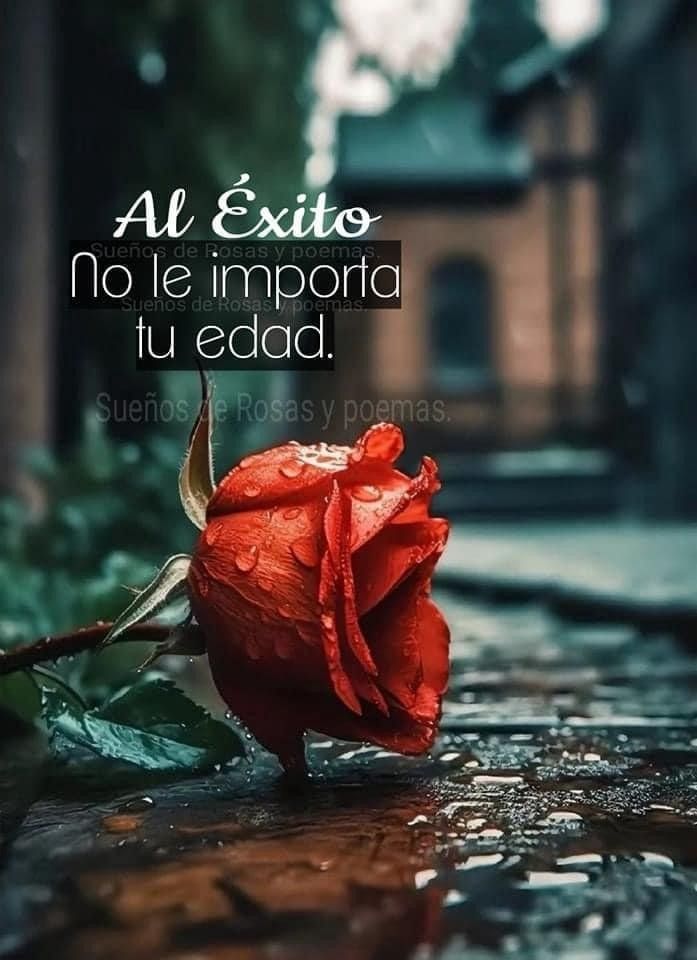 'Al Éxito no le importa tu edad.' ✨🌹✨
#FrasesInspiradoras