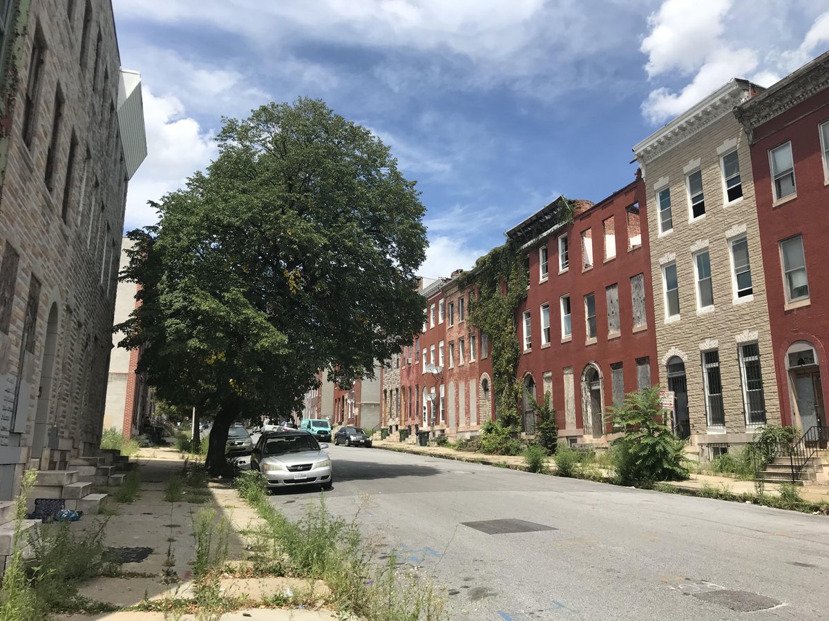 Tyler | Kenji Capital tweet media