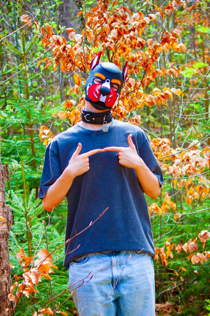 rednaughtypuppy's tweet image. I'm innocent, I promise! 🥹
Follow me on IG to not miss anything! :) (@rednaughtypuppy)
📸 by @Eras247 ❤️
Edit by me 🫶
#petplay #petplayer #puppy #puppyplay #puppyplaygay