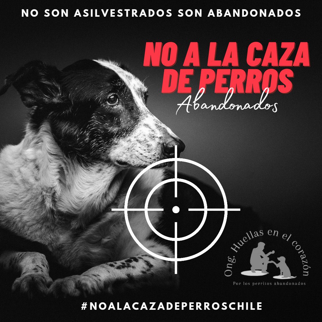 Bloque Defensa Animal tweet media