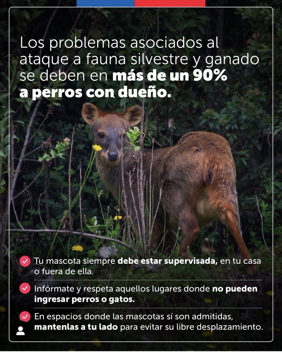 Bloque Defensa Animal tweet media