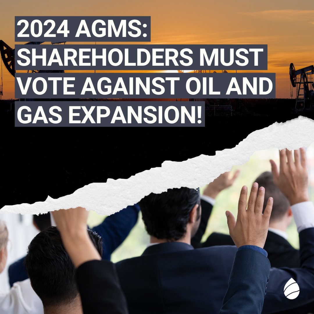 🗳️ Run up to the 2024 AGMs : shareholders must use their strategic routine votes to oppose oil and gas expansion! Here are our voting recommendations to put an end to development strategies that are contributing to climate chaos ⤵️ reclaimfinance.org/site/en/2024/0…