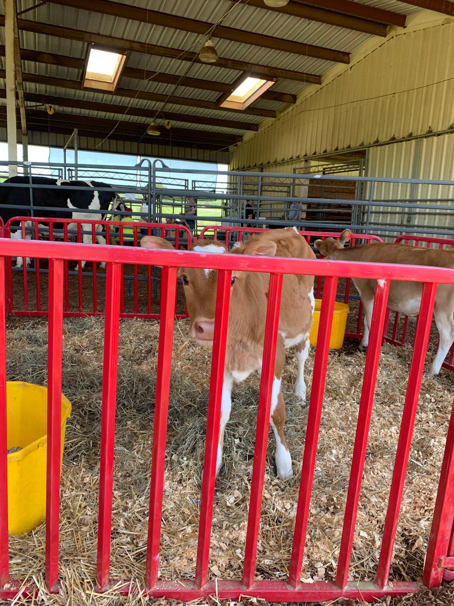 Save the date for Farm Animal Days! 🐔🐮🐷 Farm Animal Days gives children the chance to see and touch farm animals and learn about agriculture. Don't miss our booth! 📆: April 17-19 ⏰: 9 a.m. – 2 p.m. 📍: NC State University Beef Education Unit 🔗: ncst.at/7QbN50Rgs07