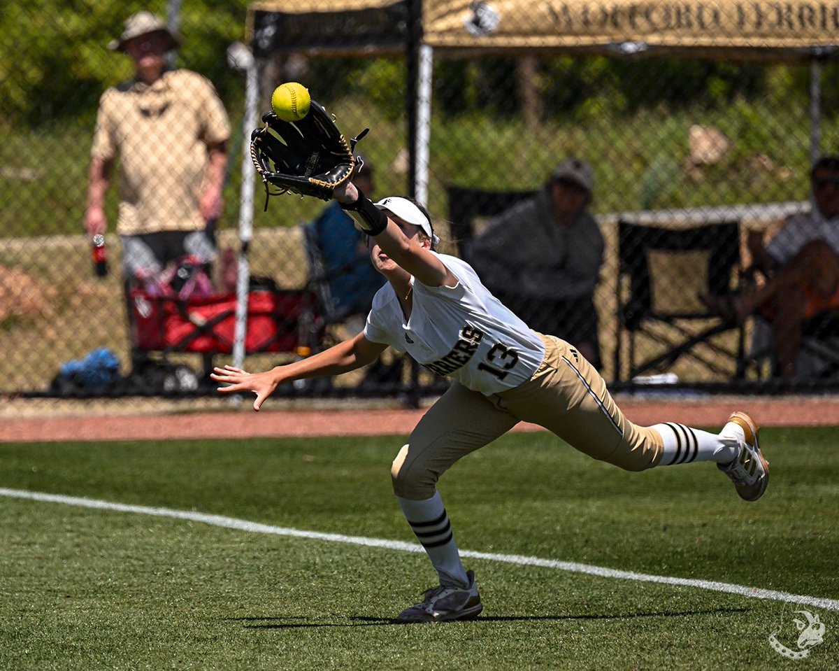 WoffordSoftball's tweet image. First conference home series win in the books! The Terriers had themselves another solid weekend! ‼️

#FSAT ✨