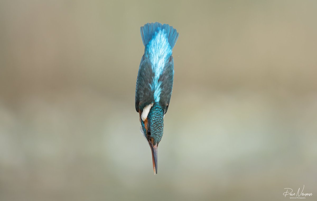 Dave Newman's Spherical Photography tweet media