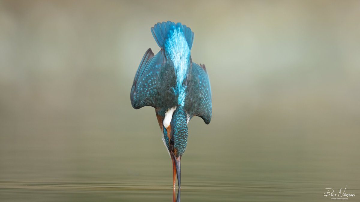 Dave Newman's Spherical Photography tweet media