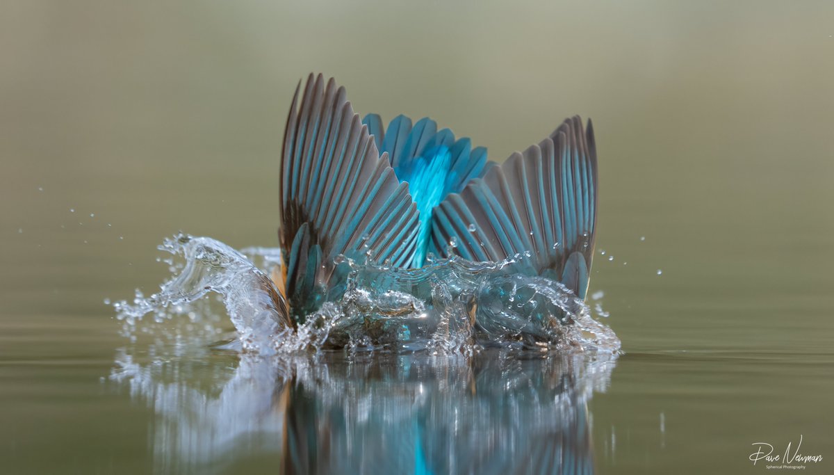 Dave Newman's Spherical Photography tweet media